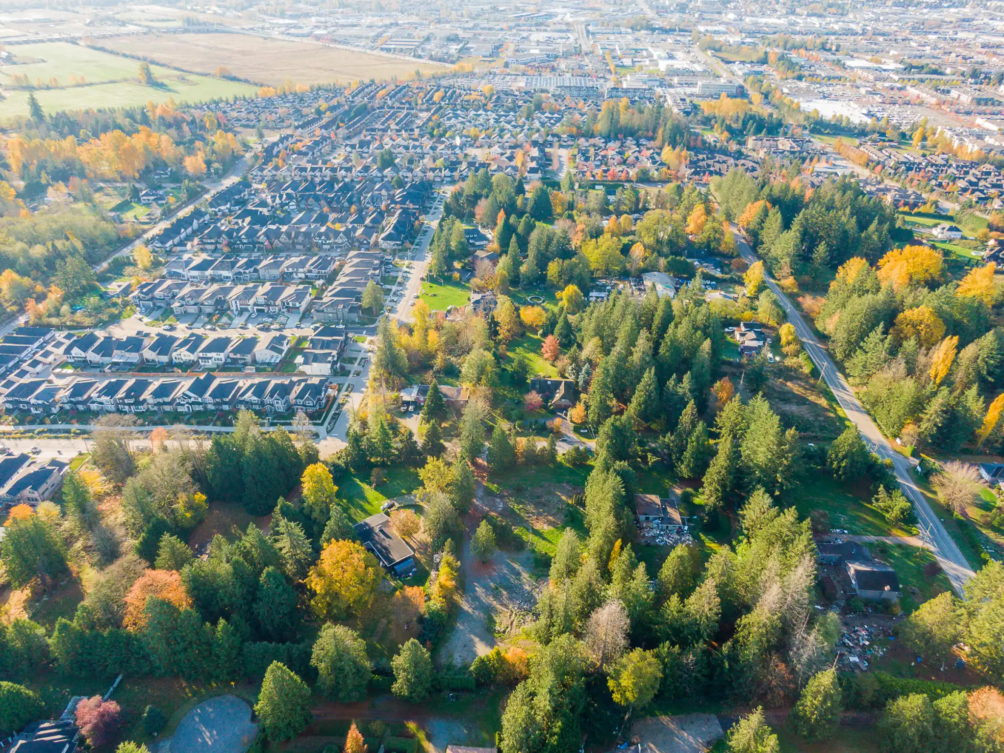 willow heights 1